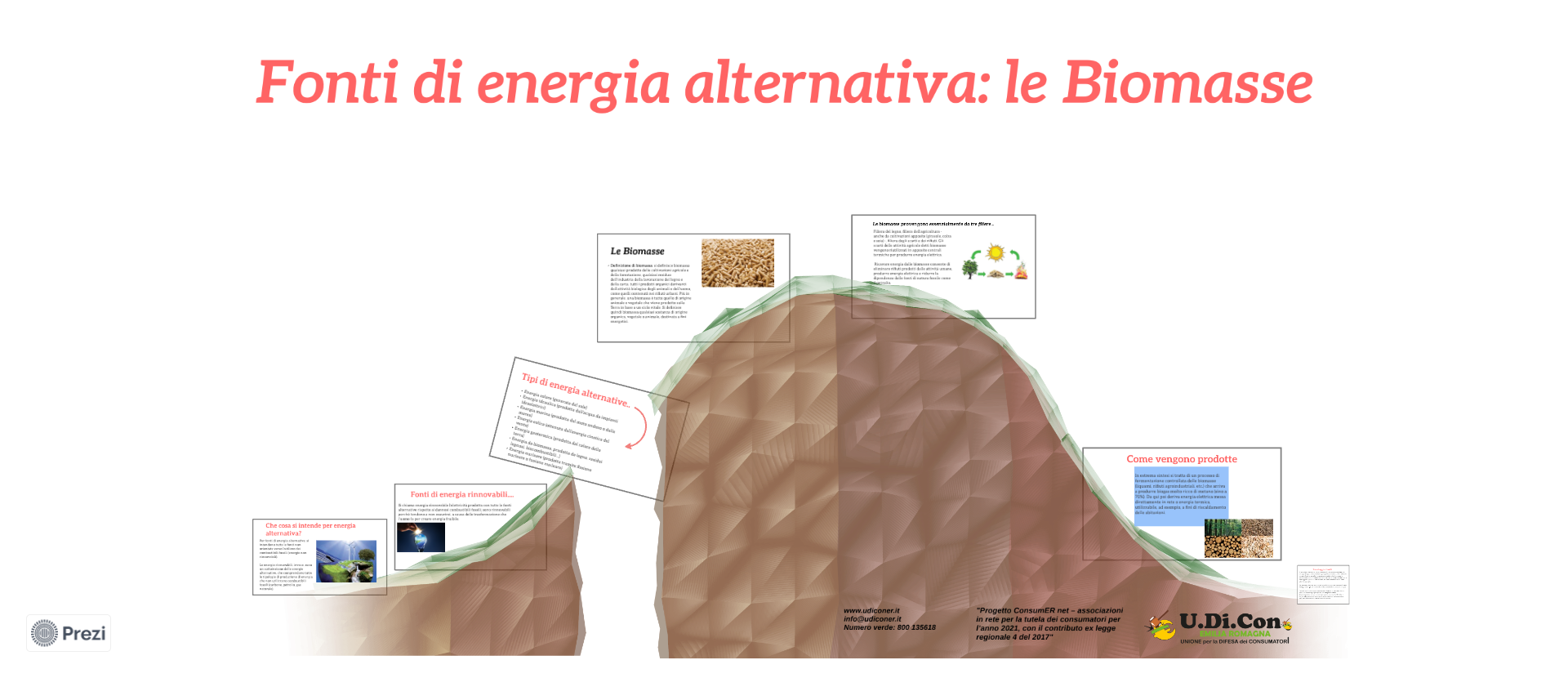 Fonti di energia alternativa: le biomasse