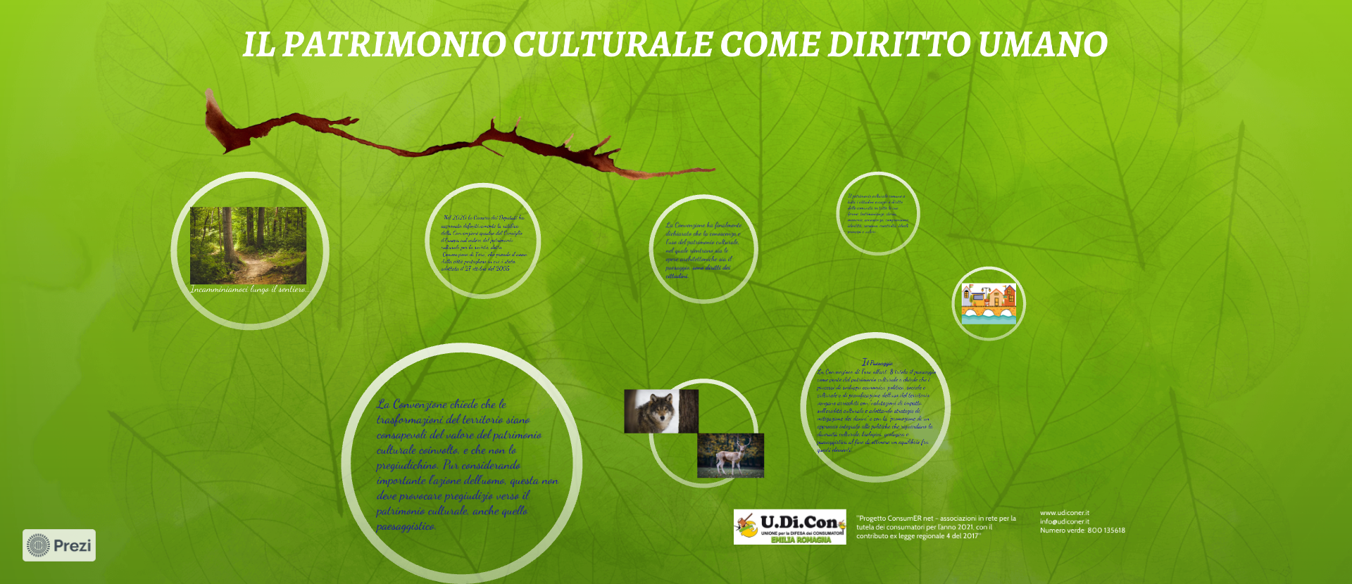 Il patrimonio culturale come diritto umano