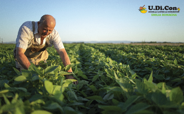 IL BIO MADE IN ITALY È REALTÀ: APPROVATO IL DDL SULL’AGRICOLTURA BIOLOGICA